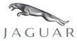 Jaguar-1-1_110x0w